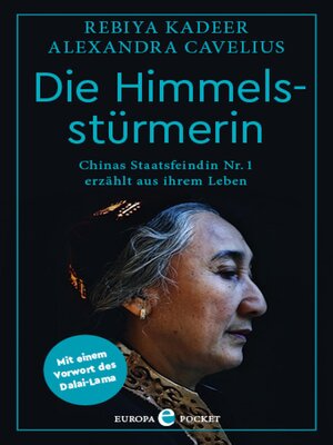 cover image of Die Himmelsstürmerin